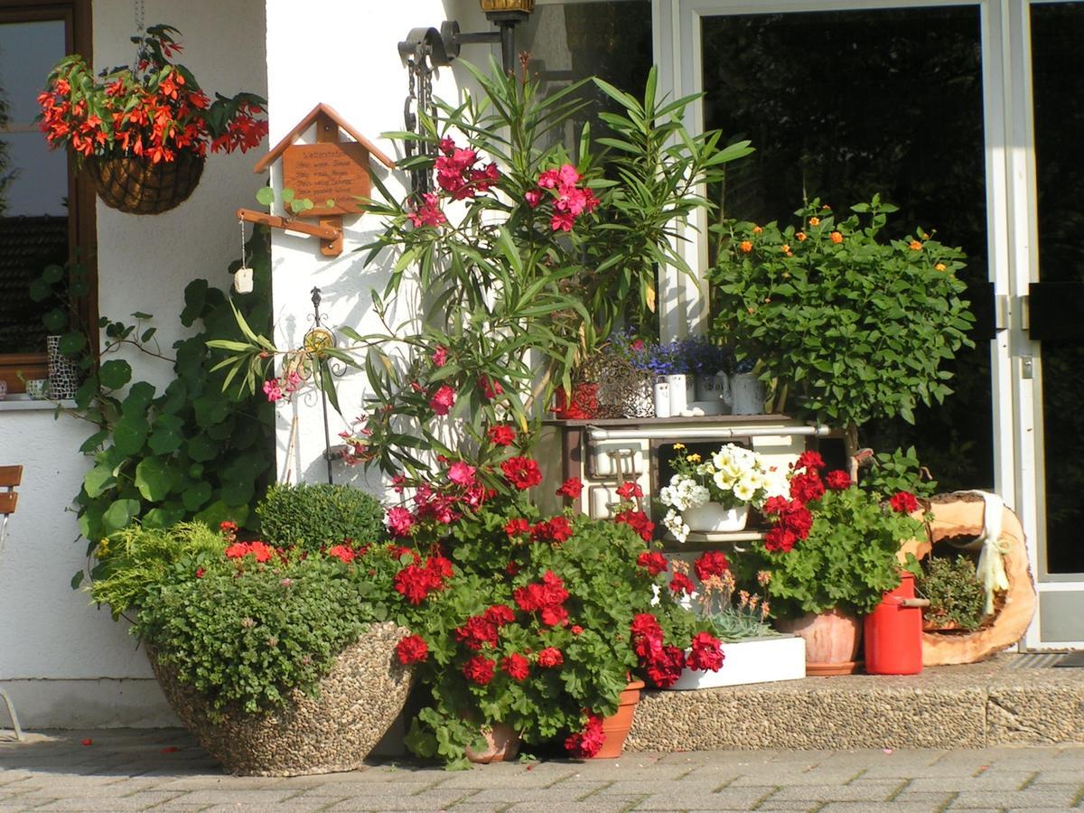 Pension Zum Ebenstein Am Donausteig Untergriesbach Экстерьер фото