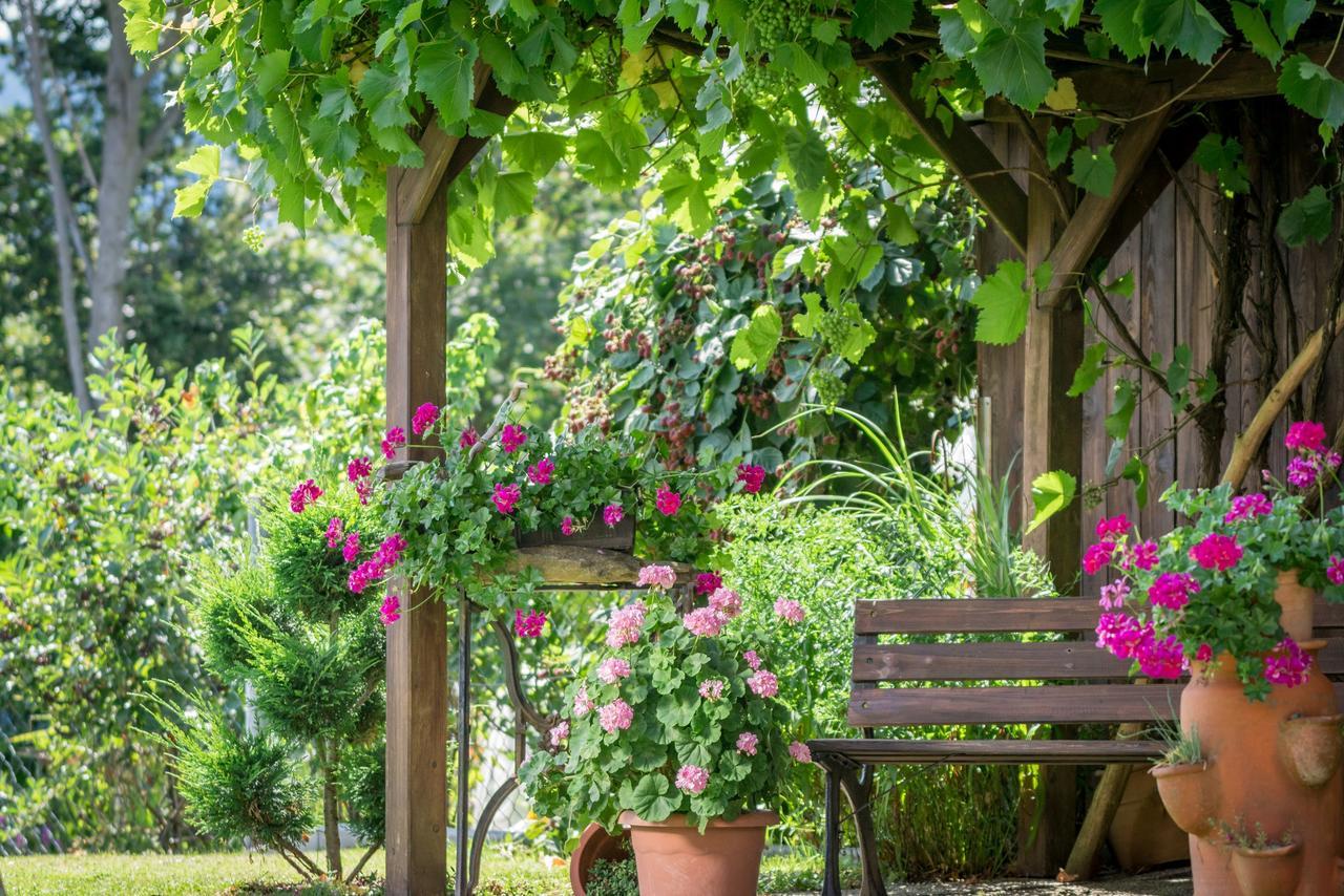 Pension Zum Ebenstein Am Donausteig Untergriesbach Экстерьер фото
