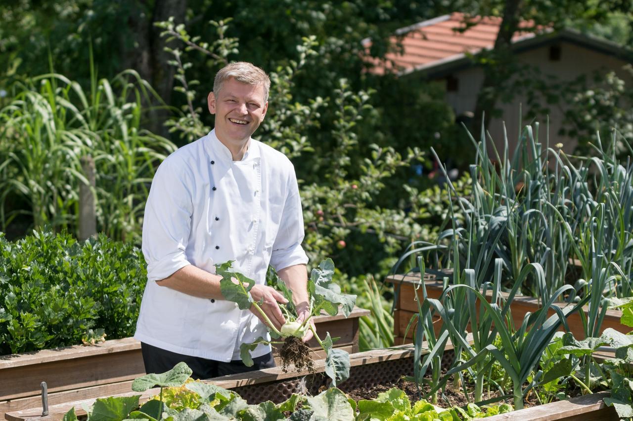 Pension Zum Ebenstein Am Donausteig Untergriesbach Экстерьер фото