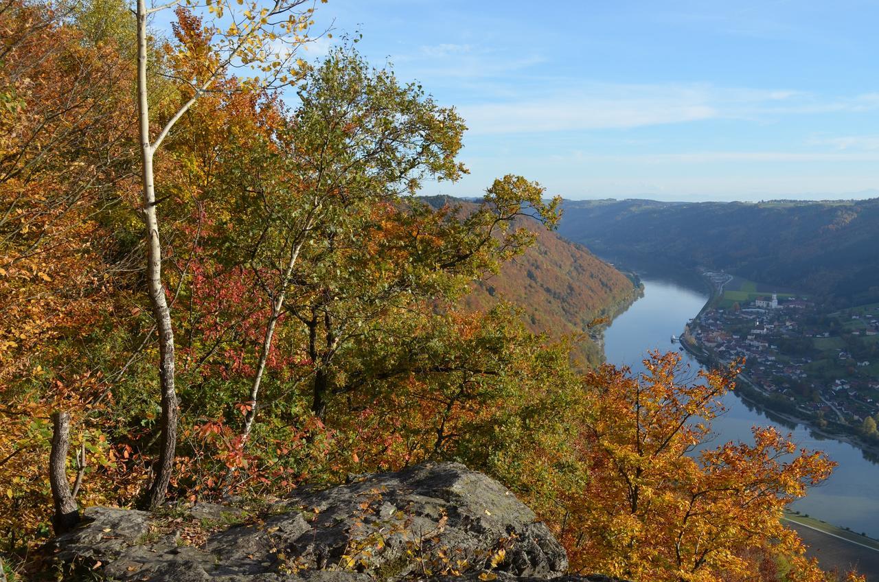 Pension Zum Ebenstein Am Donausteig Untergriesbach Экстерьер фото